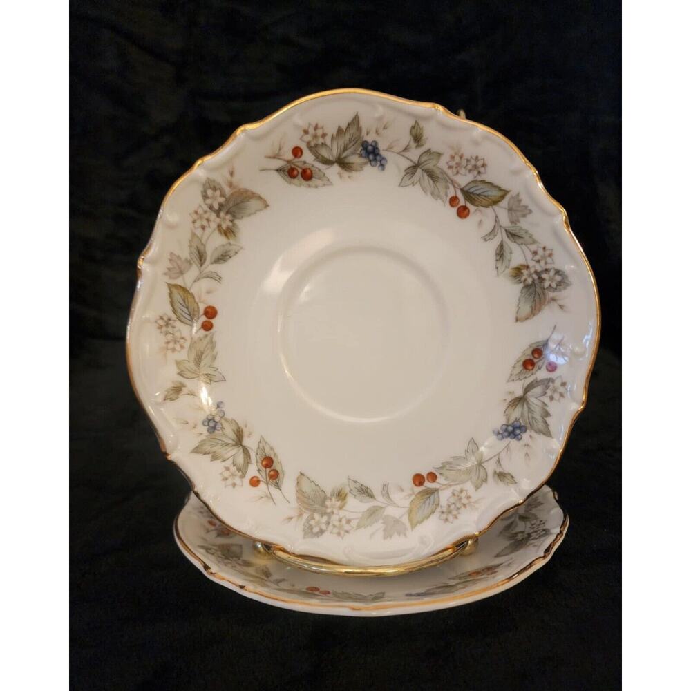 (2) Bristol Fine China Japan Spring Blossom Dinner Plates